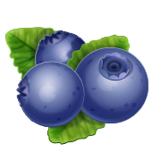 Blueberry icon